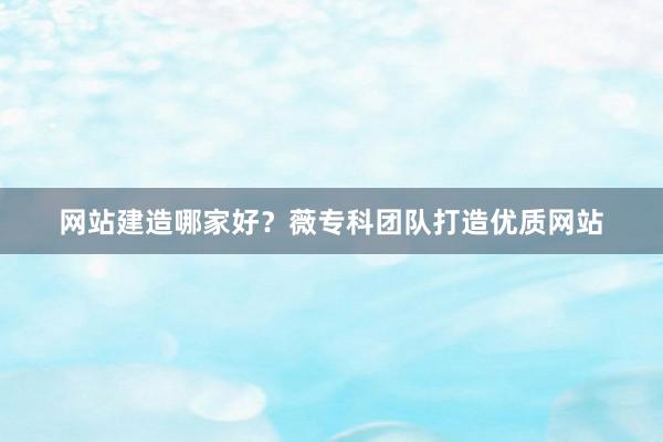 网站建造哪家好？薇专科团队打造优质网站