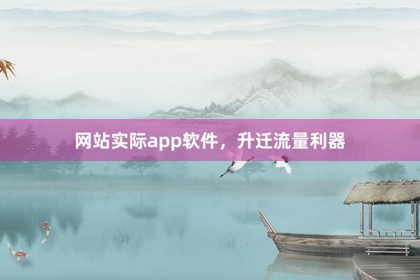 网站实际app软件，升迁流量利器