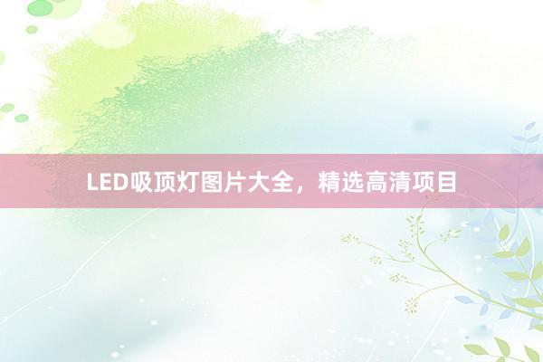 LED吸顶灯图片大全，精选高清项目
