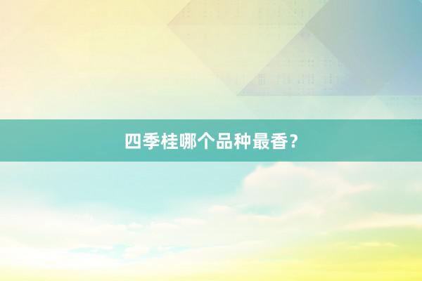 四季桂哪个品种最香？