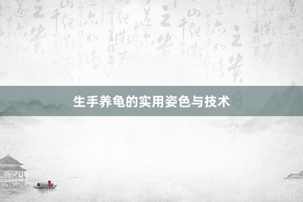 生手养龟的实用姿色与技术