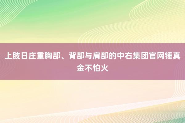 上肢日庄重胸部、背部与肩部的中右集团官网锤真金不怕火